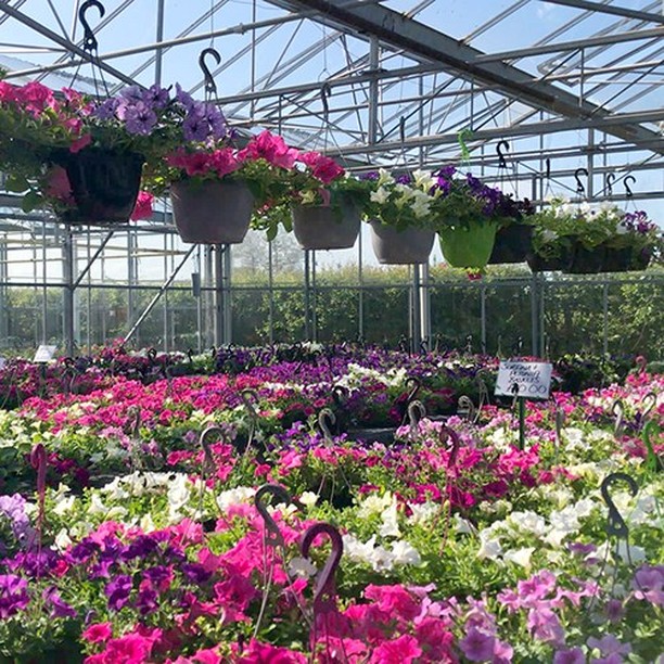 About Us Hilltop Nurseries