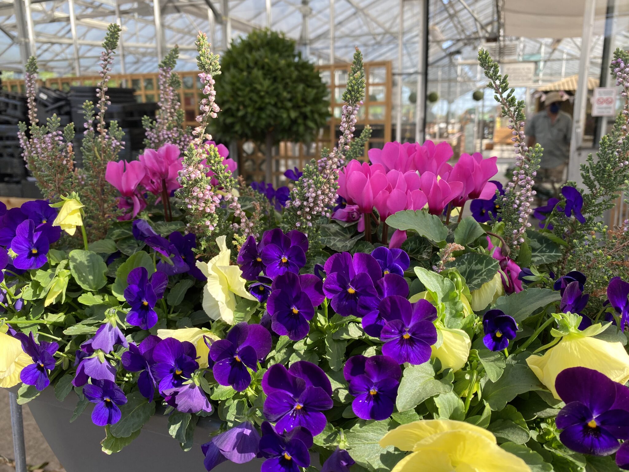 Covid Hilltop Nurseries